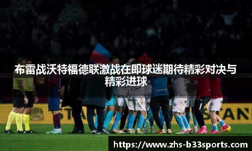 b33体育