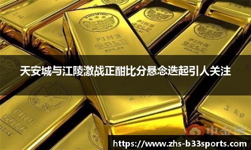 b33体育