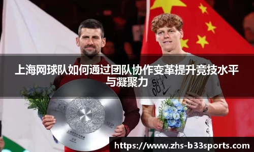 上海网球队如何通过团队协作变革提升竞技水平与凝聚力
