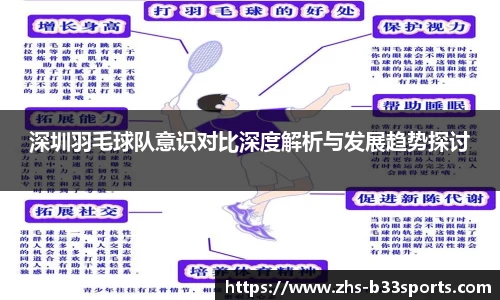 深圳羽毛球队意识对比深度解析与发展趋势探讨